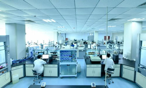 威海南海新區2家企業入選山東省瞪羚企業，技術創新引領區域發展